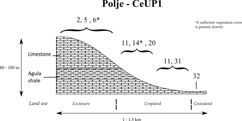 File:CeUP1 Polje catena.tif