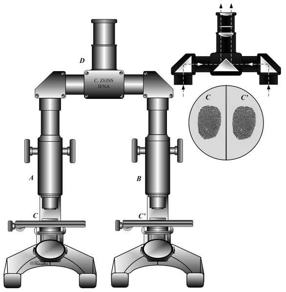 File:ComparisonMicroscope.png