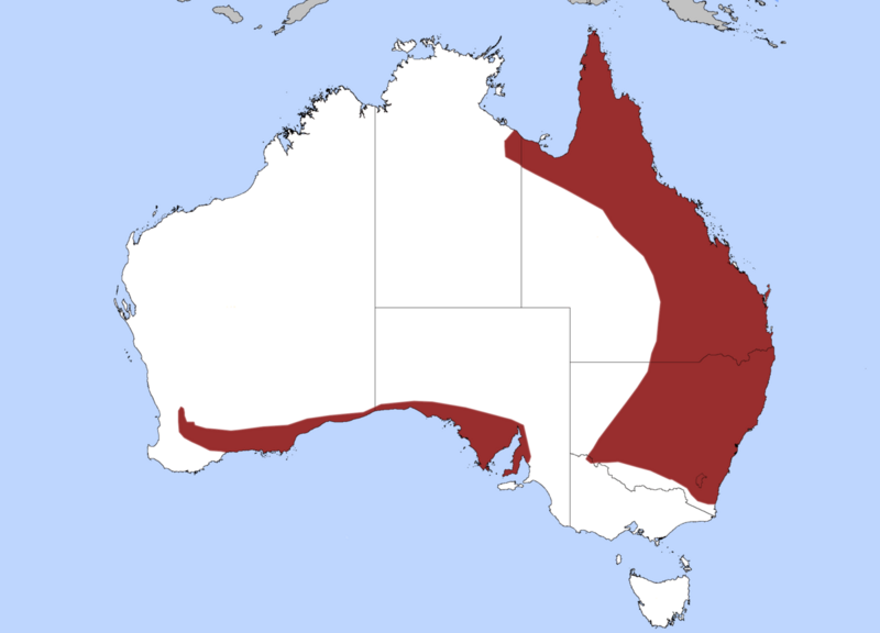 File:Death Adder Distribution.png