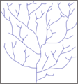 Dendritic drainage pattern.