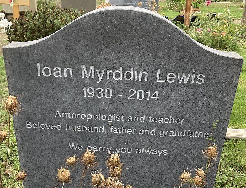 File:Lewis, Ioan 2014.jpg