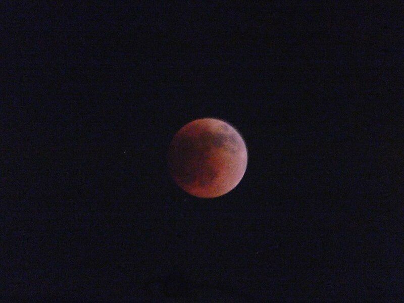 File:Lunar eclipse (52076935954).jpg