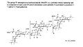 Fig.4 N. meningitidis group W-135