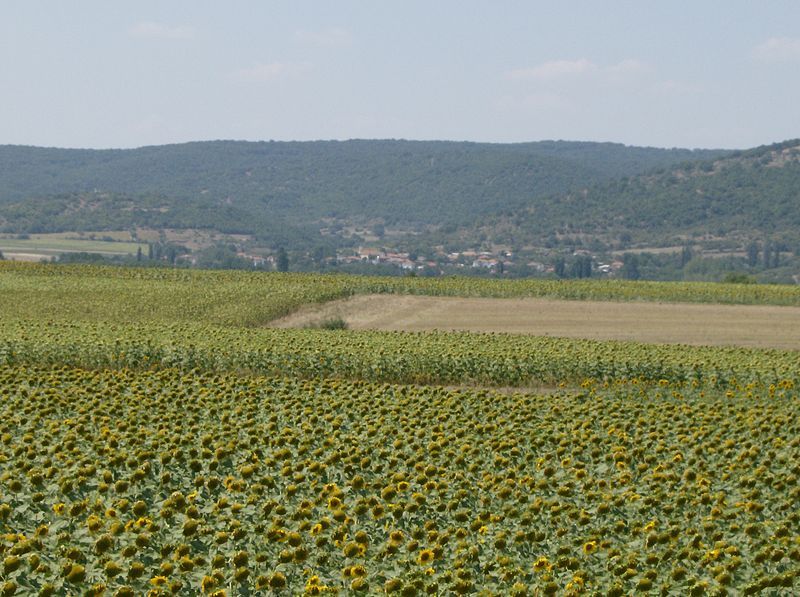 File:Milia, Evros Prefecture.jpg