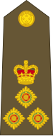 File:New Zealand-Army-OF-6.svg