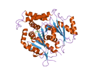 1z5v: Crystal structure of human gamma-tubulin bound to GTPgammaS