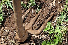 A three-tined hoe from Mount Kenya.