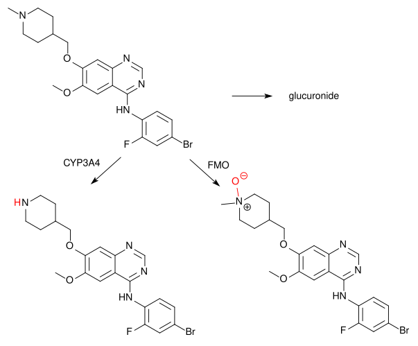 File:Vandetanib metabolism.svg