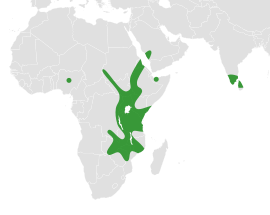 File:Wajira distribution.svg