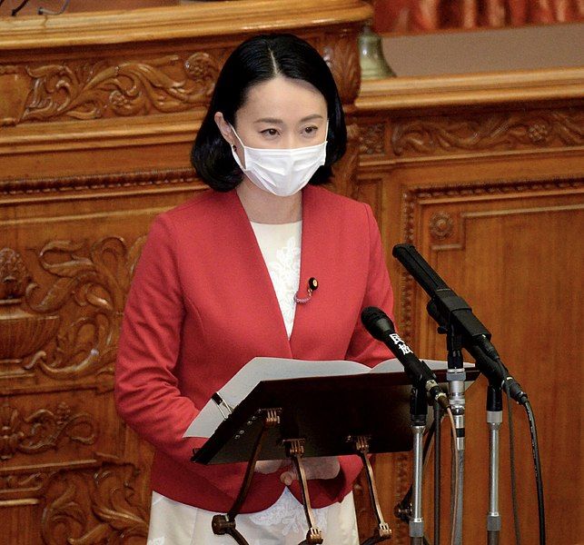 File:参議院参議院 田島麻衣子 本会議討論.jpg