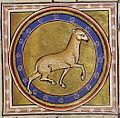 Folio 21 Recto - Lamb (Agnus)