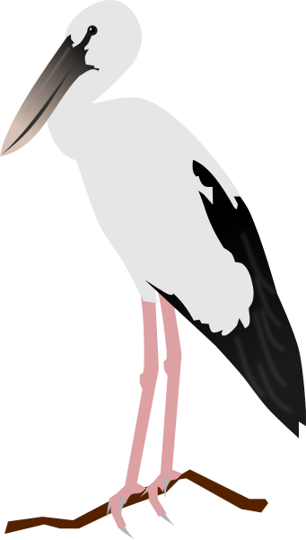 File:Asian Openbill.svg