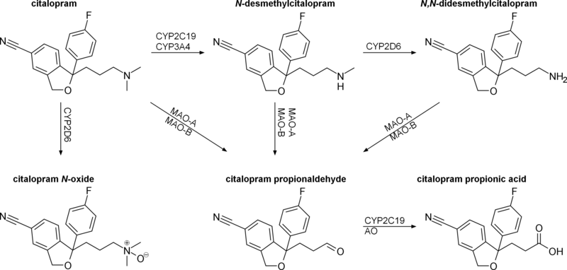 File:Citalopram metabolism.png