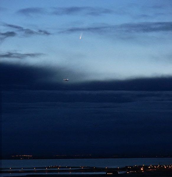 File:Comet McNaught.jpg