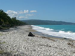 Gommier, Haiti