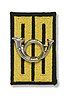 Insignia of the Rifle Guard regiment