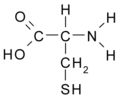 Cysteine (Cys / C)