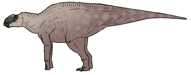 File:Naashoibitosaurus ostromi.png