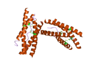 1vzj: STRUCTURE OF THE TETRAMERIZATION DOMAIN OF ACETYLCHOLINESTERASE: FOUR-FOLD INTERACTION OF A WWW MOTIF WITH A LEFT-HANDED POLYPROLINE HELIX