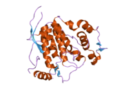 2exe: Crystal structure of the phosphorylated CLK3