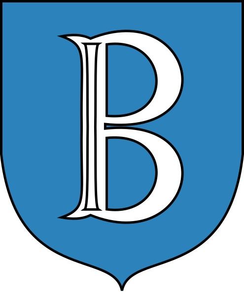 File:POL Brdów COA.svg