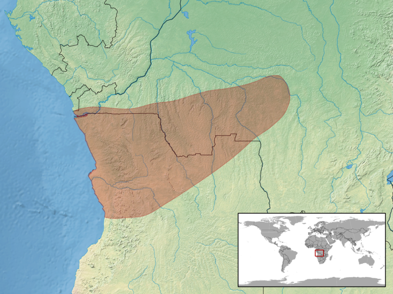 File:Panaspis cabindae distribution.png