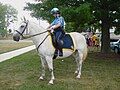 Prince William County Police Mounted Patrol