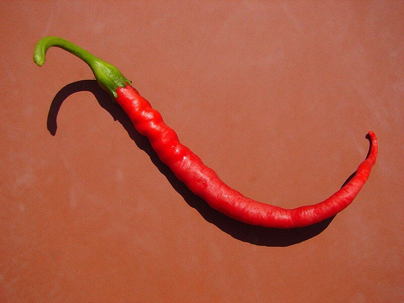 File:Red Pepper 03905-nevit.jpg