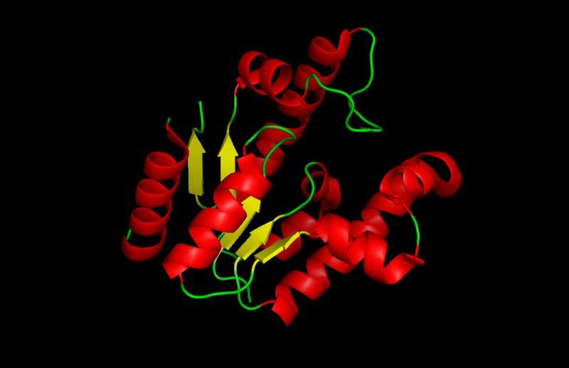 File:Shikimate kinase cartoon.png