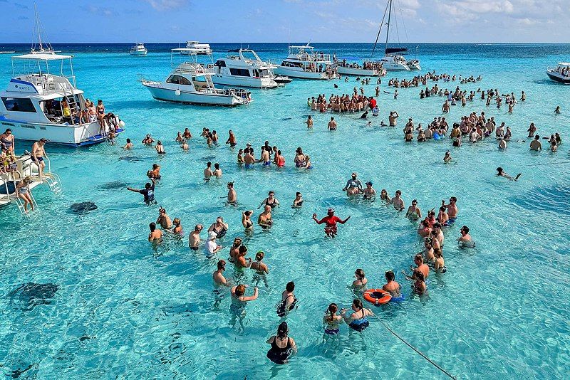 File:Stingray sandbar-1001.jpg