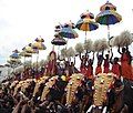 Kuda Mattam during Thrissur pooram festival in Kerala.