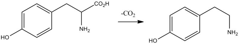 File:Tyramine synthesis.png