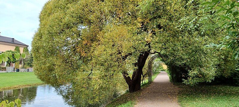 File:Uppsala Botanical Garden.jpg