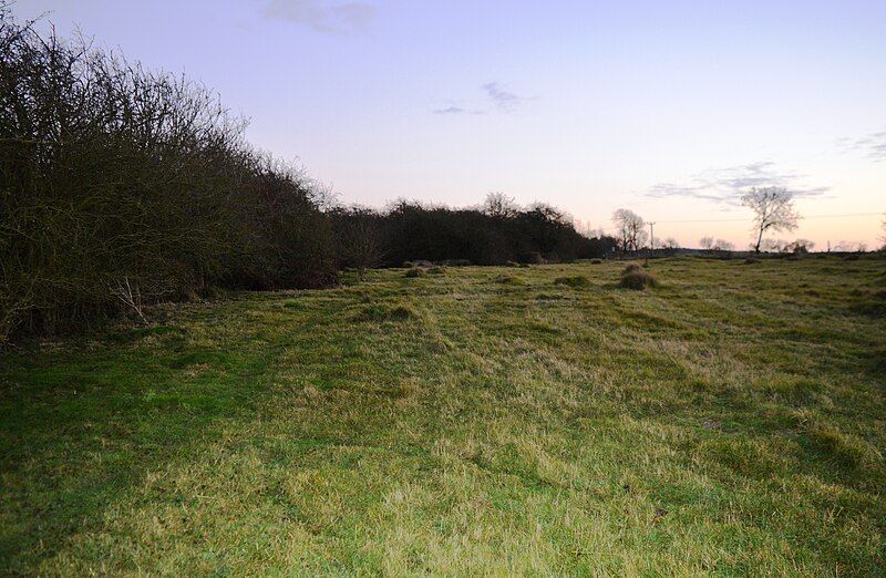 File:Wymington Meadow 5.JPG