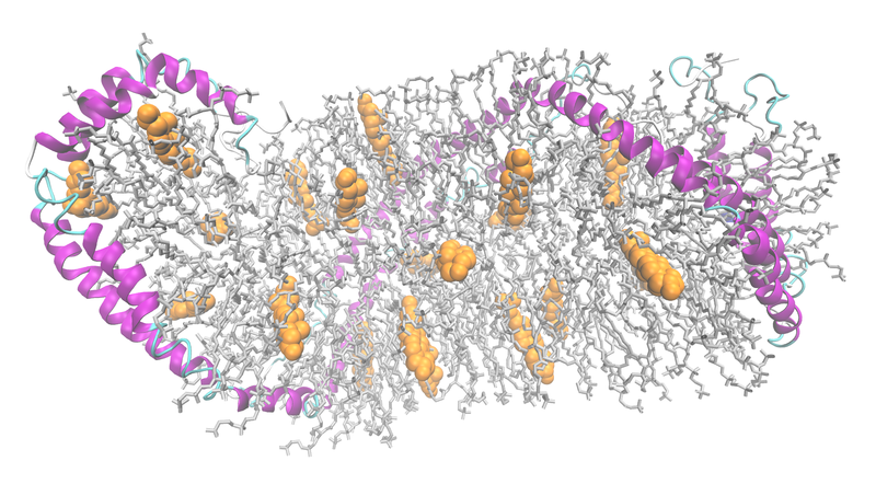 File:ApoA1+lipids 3K2S.png