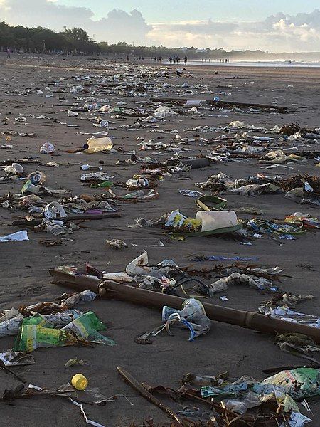 File:Bali beach pollution.jpg