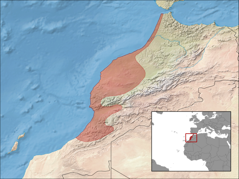 File:Chalcides mionecton distribution.png