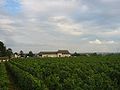 Chateau de Marsannay surrounded by vines