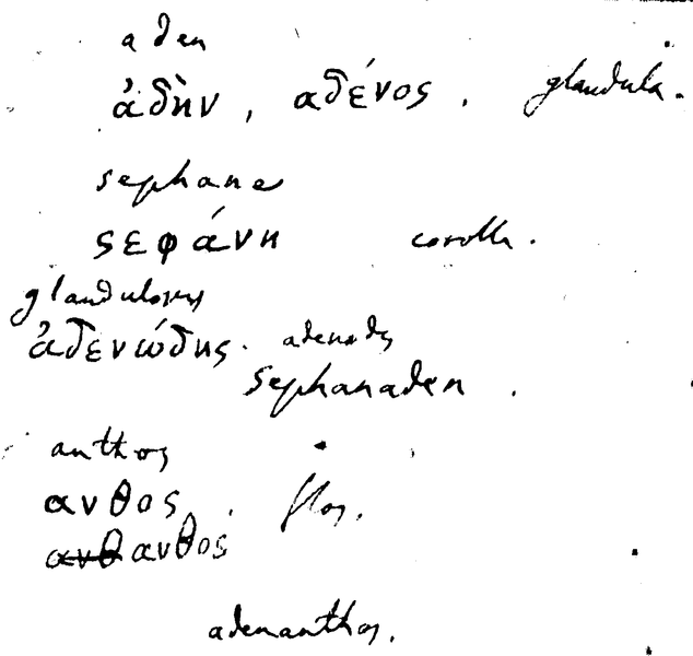 File:Derivation of Adenanthos.png