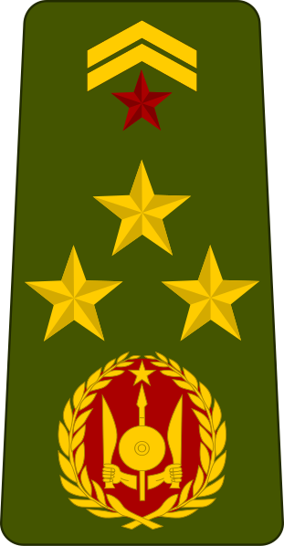 File:Djibouti-Army-OF-6.svg