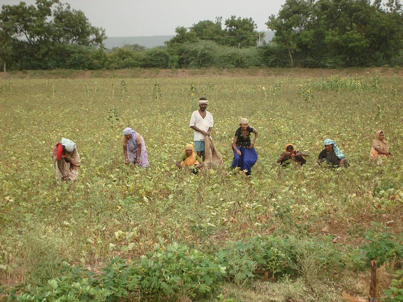 File:Indian farmers.jpg