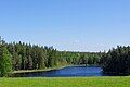 Lake Savijärv in Laanemetsa