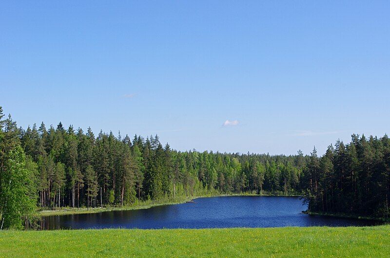 File:Laanemetsa savijärv.jpg