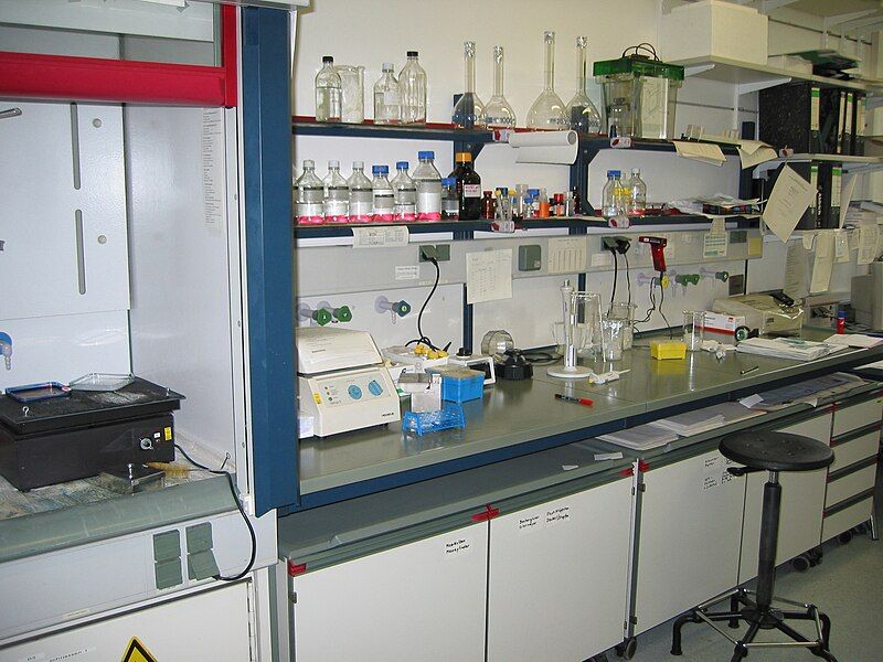 File:Lab bench.jpg