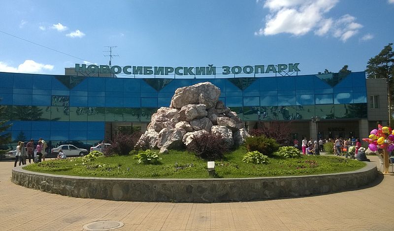 File:Novosibirsk zoo 32.jpg