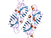 2nnx: Crystal Structure of the H46R, H48Q double mutant of human [Cu-Zn] Superoxide Dismutase