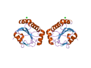 2p31: Crystal structure of human glutathione peroxidase 7