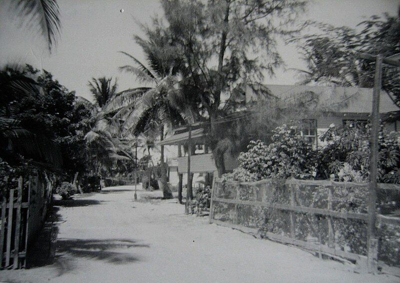 File:Roatán French Harbour.jpg