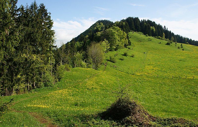 File:Rottachberg-falkenstein.jpg