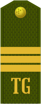 File:Turkmenistan army OR-6.svg